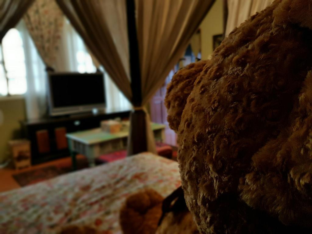 Bearbear Homestay Hualien City Exterior photo