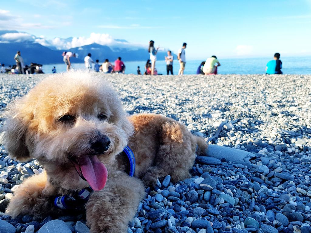 Bearbear Homestay Hualien City Exterior photo